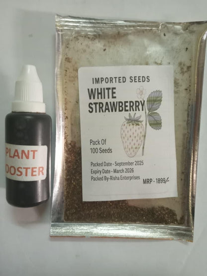 Rare Milk Strawberry Seeds ( Pack of 20) + Plant Growth Serum Free